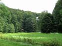 Waldenburg (96)